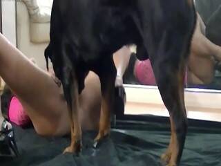 Un video amatoriale di sesso tra un cane e una giovane ragazza